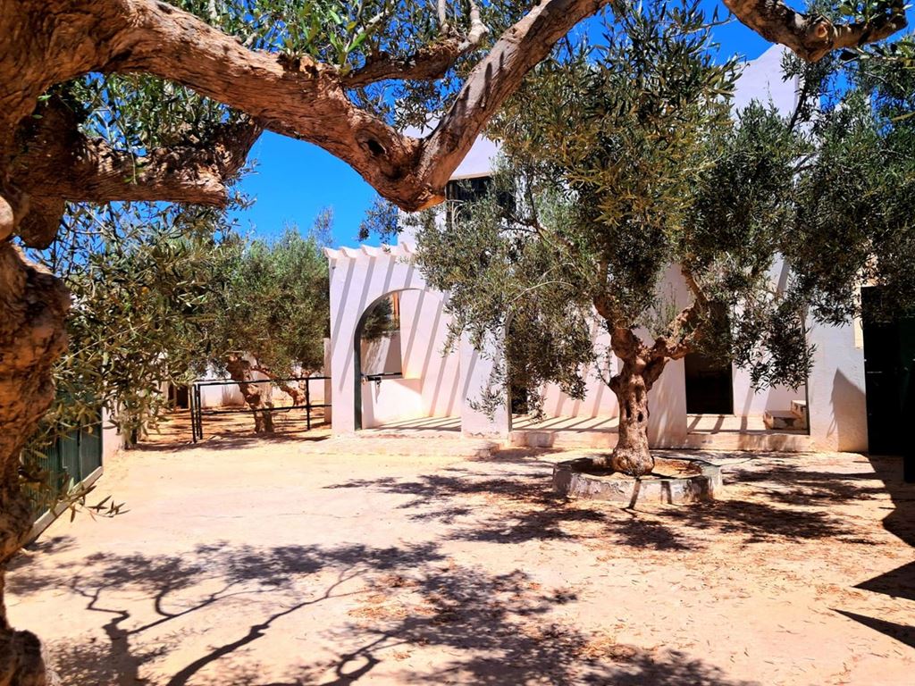 Achat Maison DJERBA